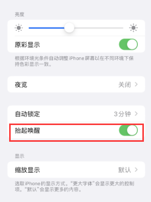 嘉荫苹果授权维修站分享iPhone轻点无法唤醒怎么办