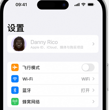 嘉荫appleID维修服务iPhone设置中Apple ID显示为灰色无法使用