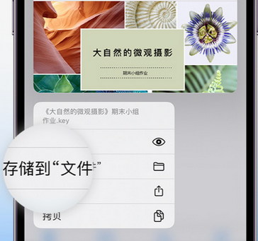 嘉荫apple维修中心分享iPhone文件应用中存储和找到下载文件