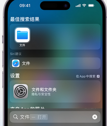 嘉荫apple维修中心分享iPhone文件应用中存储和找到下载文件 