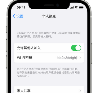 嘉荫apple服务站点分享iPhone上个人热点丢失了怎么办