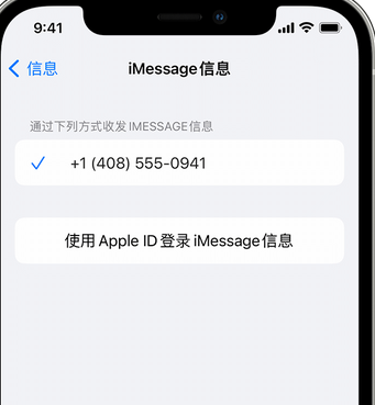 嘉荫apple维修iPhone上无法正常发送iMessage信息