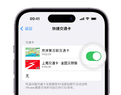 嘉荫apple维修点分享iPhone上更换Apple Pay快捷交通卡手绘卡面 