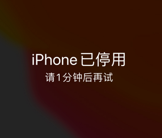 嘉荫苹果手机维修分享:iPhone 显示“不可用”或“已停用”怎么办？还能保留数据吗？ 