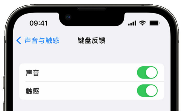 嘉荫苹果手机维修分享iPhone 14触感键盘使用方法 