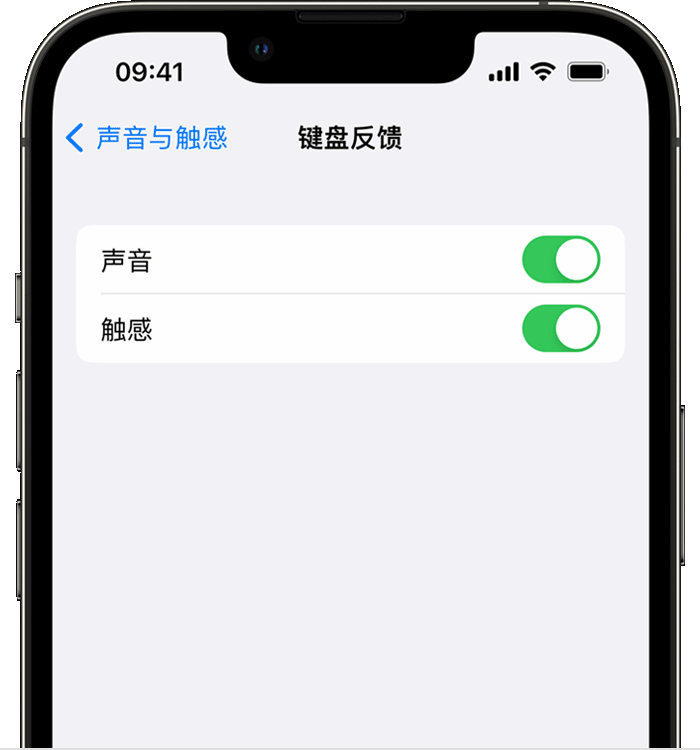 嘉荫苹果14维修店分享如何在 iPhone 14 机型中使用触感键盘 