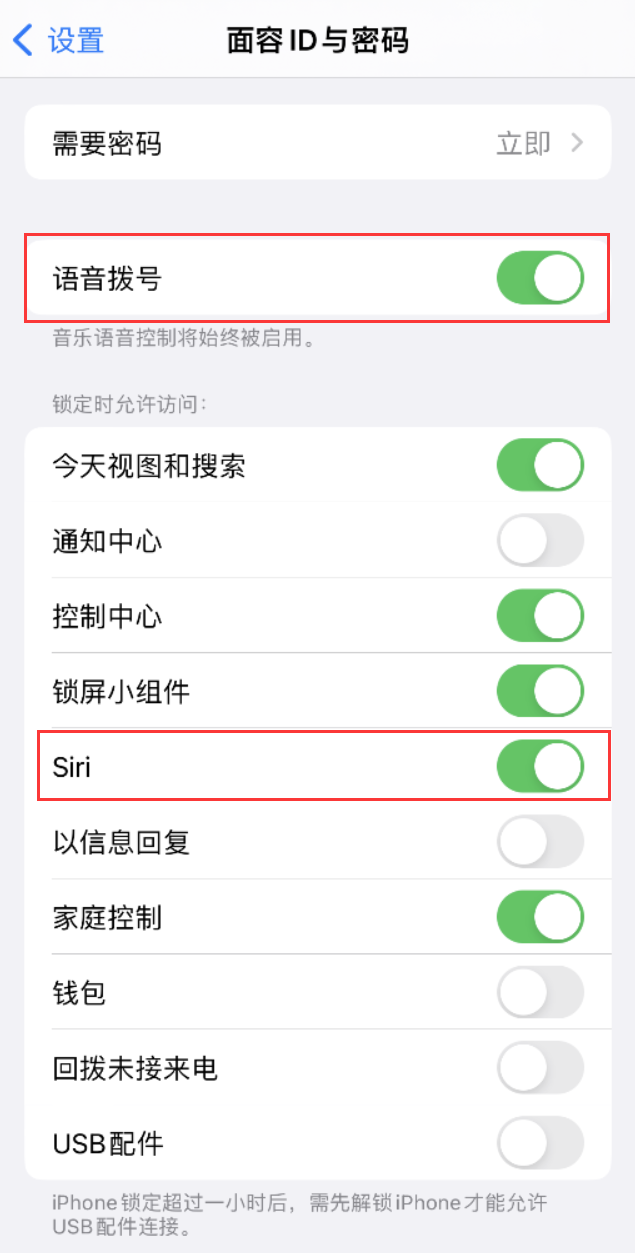 嘉荫苹果维修网点分享不解锁 iPhone 的情况下通过 Siri 拨打电话的方法 