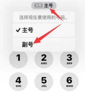 嘉荫苹果14维修店分享iPhone 14 Pro Max使用副卡打电话的方法 