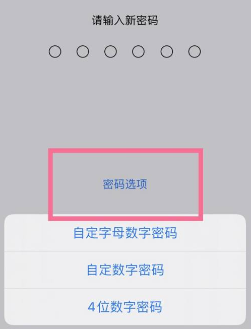 嘉荫苹果14维修分享iPhone 14plus设置密码的方法 