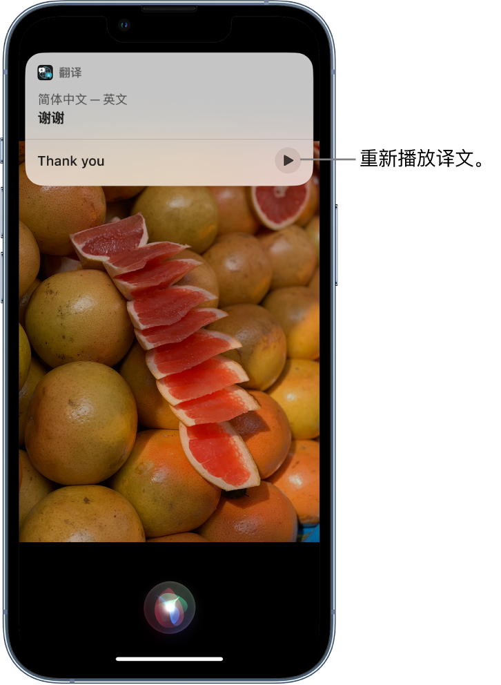 嘉荫苹果14维修分享 iPhone 14 机型中使用 Siri：了解 Siri 能帮你做什么 