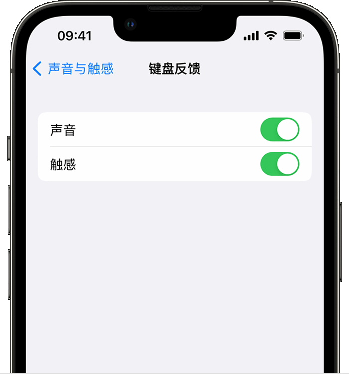 嘉荫苹果14维修分享iPhone 14 系列机型如何开启键盘声音或触感反馈 
