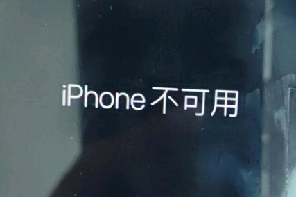 嘉荫苹果服务网点分享锁屏界面显示“iPhone 不可用”如何解决 