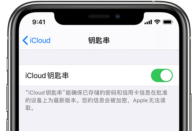 嘉荫苹果手机维修分享在 iPhone 上开启 iCloud 钥匙串之后会储存哪些信息 