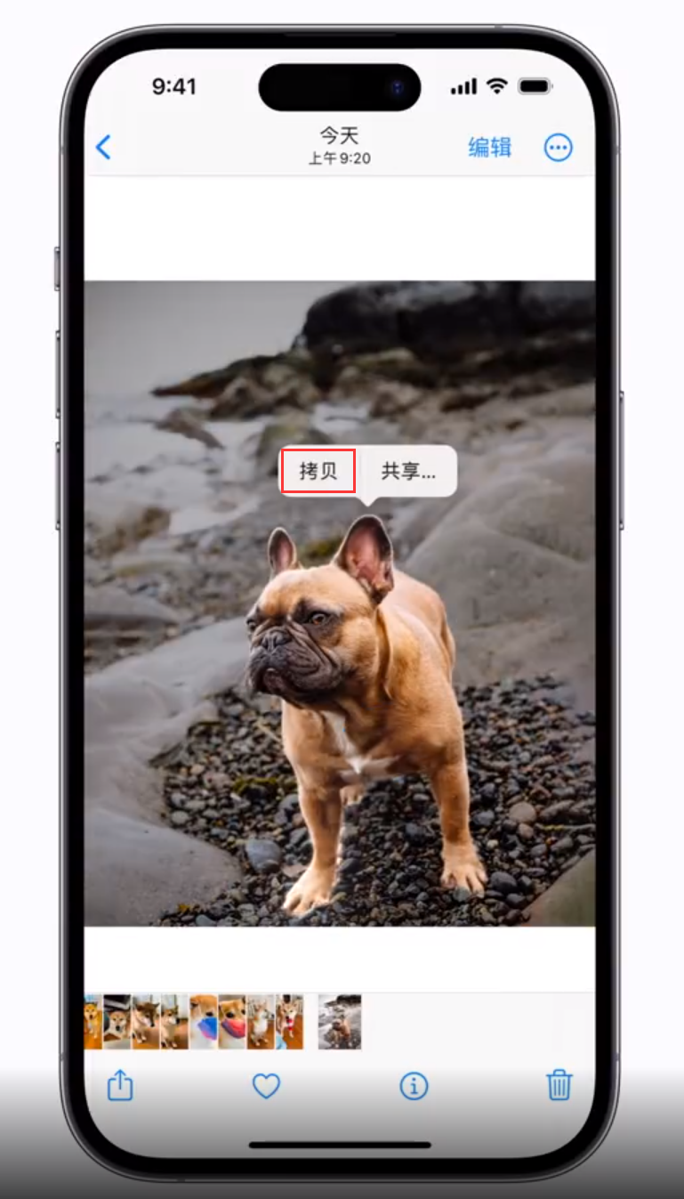嘉荫苹果手机维修分享 iOS 16 自带一键抠图功能 