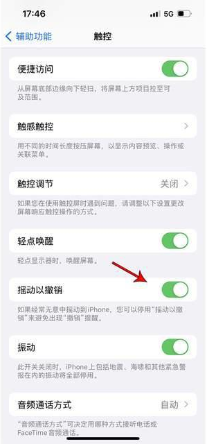 嘉荫苹果手机维修分享iPhone手机如何设置摇一摇删除文字 