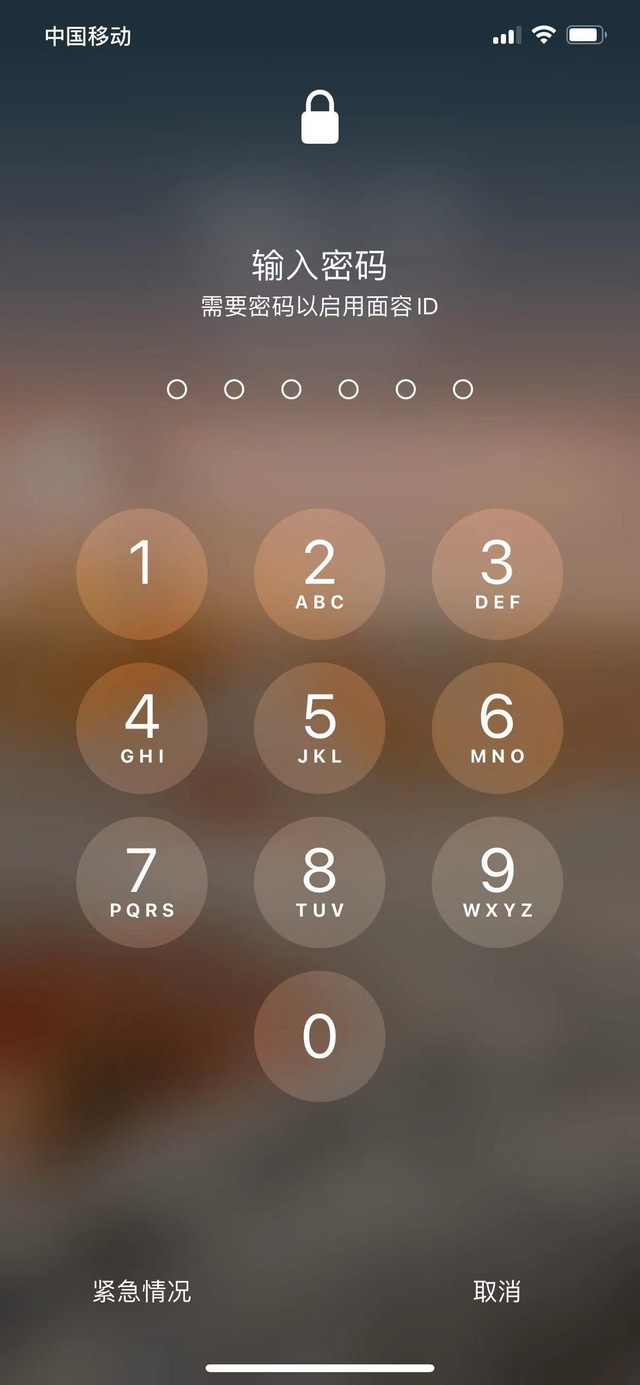 嘉荫苹果13维修分享iPhone 13加强锁屏功能有什么用 