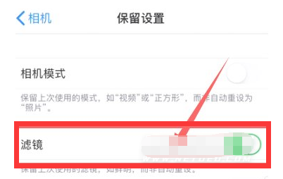 嘉荫苹果13维修分享iPhone13拍照有绿点是怎么回事 