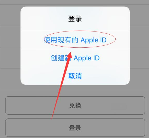 嘉荫苹果手机维修分享两台iPhone设备可以同时登录一个Apple ID吗 