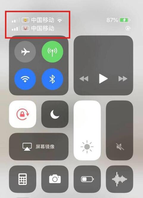 嘉荫苹果手机维修分享为 iPhone 12 双卡设置标签 