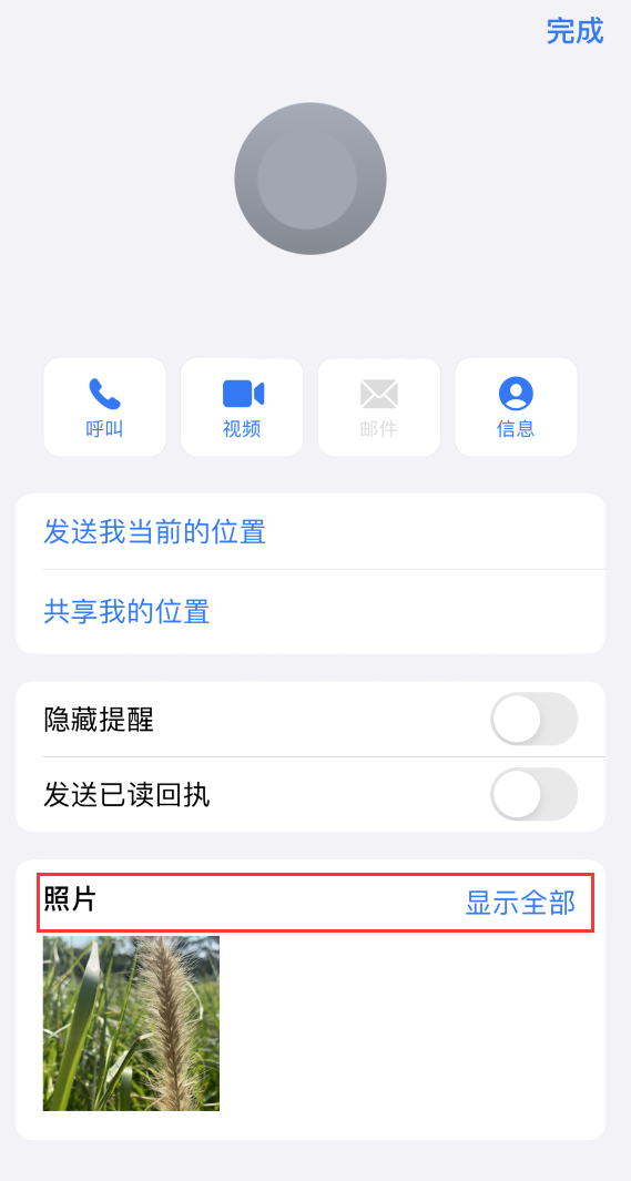 嘉荫苹果手机维修分享如何快速查找 iMessage 信息中的图片等附件 